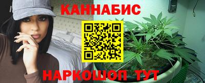 крисы Гай