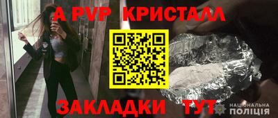ECSTASY Гагарин