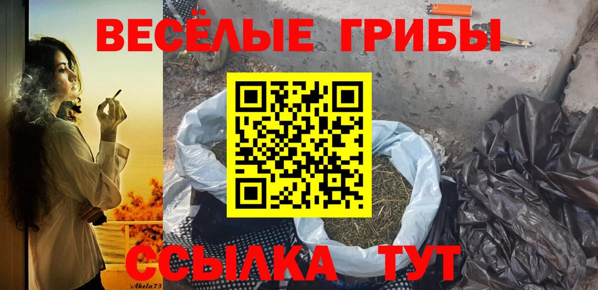 Норильск  Галлюциногенные грибы ЛСД  Вход с VPN 